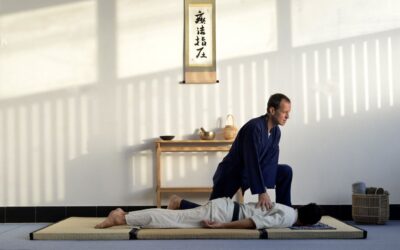 24-26 October 2025: Master Class in Vienna (Austria) – Shiatsu and martial arts