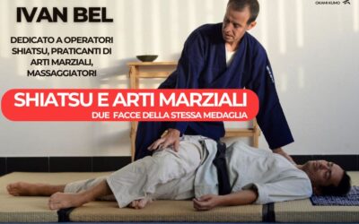  Shiatsu e arti martiali: 17-18 Maggio a Torino con Ivan Bel