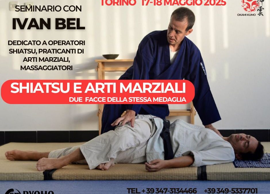  Shiatsu e arti martiali: 17-18 Maggio a Torino con Ivan Bel